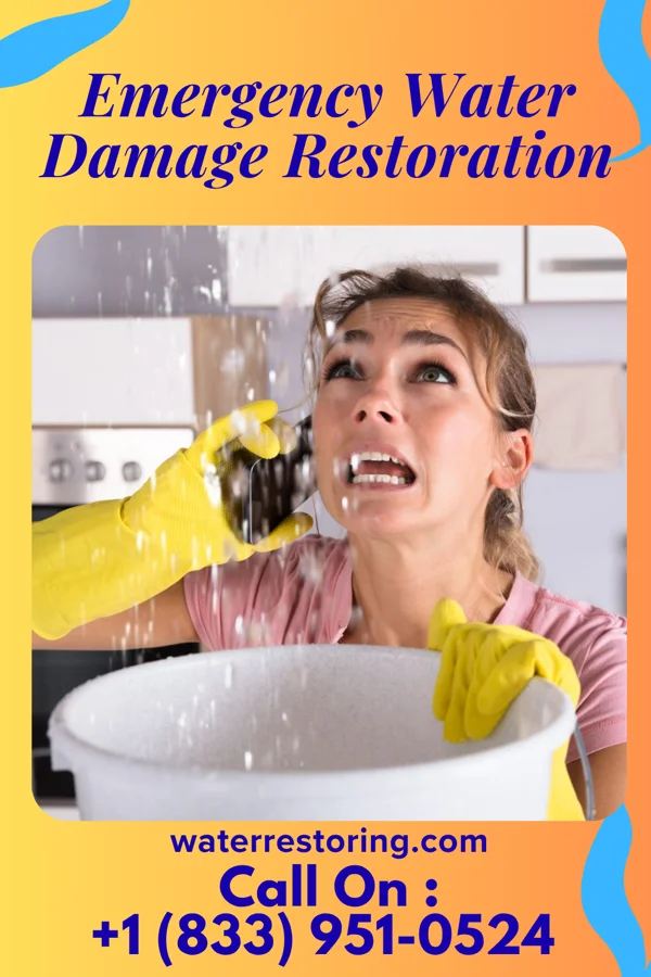 Emergency Water Damage Restoration in Linton, IN