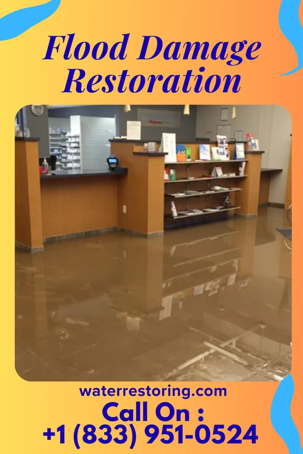 Flood Damage Restoration in Linton, IN