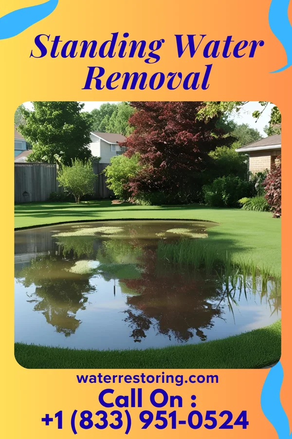 Standing Water Removal in Linton, IN